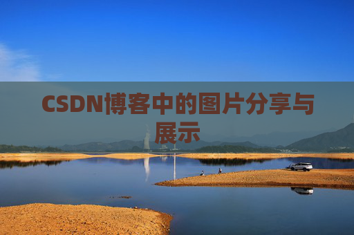CSDN博客中的图片分享与展示